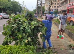活动｜“市容环境大扫除，干干净净迎国庆”活动