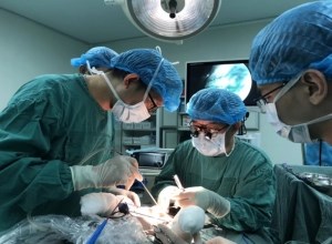 专家黄金狮教授莅临我院小儿外科指导学科工作