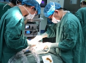 我院成功实施钦州市第一例腹腔镜下小儿肠旋转不良复位术