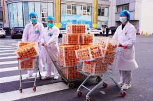 最甜礼物！我院收到湖北省十堰市千箱蜜橘